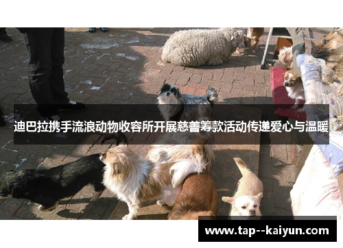 迪巴拉携手流浪动物收容所开展慈善筹款活动传递爱心与温暖