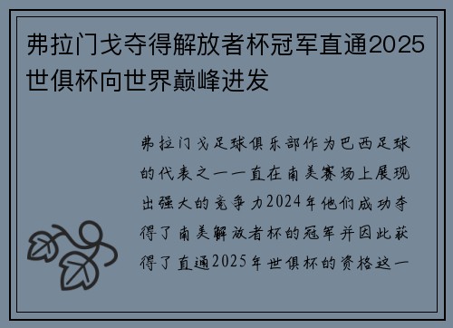 弗拉门戈夺得解放者杯冠军直通2025世俱杯向世界巅峰进发 弗拉门戈夺得解放者杯冠军直通2025世俱杯向世界巅峰进发